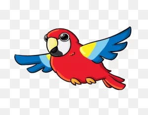 Parrots - Room 6 Learning | Cartoon Birds, Clip Art, Parrot Drawing