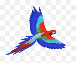 Parrot Clip Art At ClipartFlare ClipartFlare.com - Vector Clip Art Online, Royalty ClipartFlare.com 