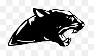 27 Panther Reference Ideas | Panther, Wild Cats, Big Cats