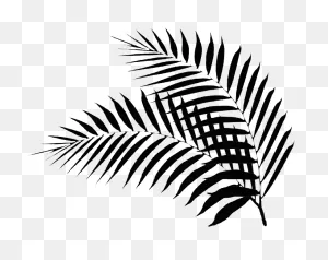 Black Palm Leaf - Palm Leaves Silhouette Png Clipart - Full Size ClipartFlare.com 