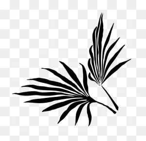 Free Palm Leaf Clipart Black And White, Download Free Palm Leaf ClipartFlare.com 