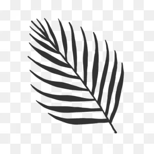 Tropical Leaves Areca Palm Silhouette #ad , #paid, #affiliate ClipartFlare.com 