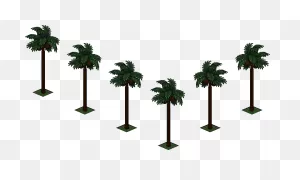 Palmeras - Attalea Speciosa Clipart - Large Size Png Image - ClipartFlare