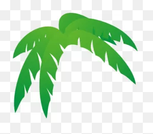 Palmera De Hojas Ilustración Vectorial - Palm Tree Leaves Clip Art ClipartFlare.com 