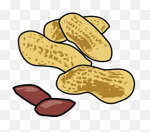 Peanuts In And Out Of The Shell Clipart. Free Download Transparent ClipartFlare.com 