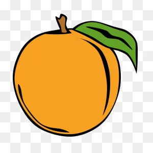 Peach Fruit Vector Clip Art | Free PNG-WebP