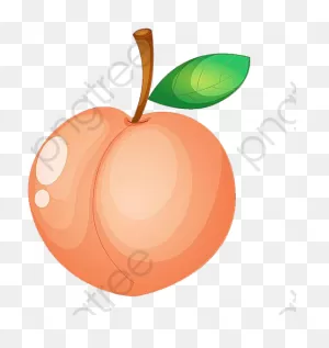 Peach Clipart Fruit - Png Download - Full Size Clipart (#4986851 ClipartFlare.com 