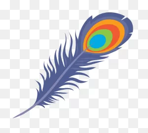 Peacock Feather Clipart. Free Download Transparent .png | ClipartFlare