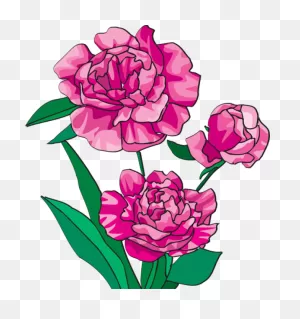Peony Clipart Boho - Peony Clipart - Png Download - Full Size ClipartFlare.com 