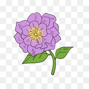 Peony Clipart. Free Download Transparent .png | ClipartFlare