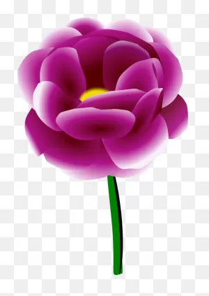Peony