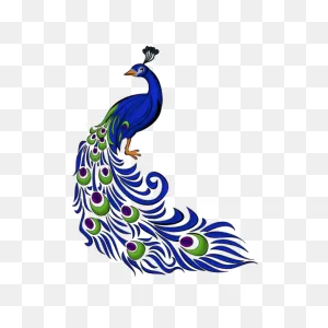 Afbeeldingsresultaat Voor Peacock Images Art | Peacock Drawing ClipartFlare.com 