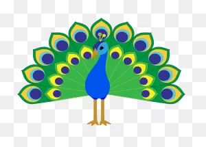 Peacock Clipart. Free Download Transparent .png | ClipartFlare