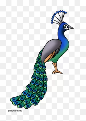 Peacock - Google Images | Peacock Drawing, Peacock Images, Clip Art