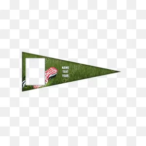 Pennants | Richmond Professional Lab