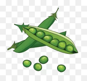 Peas In A Pod Clipart - Full Size Clipart (#3074737) - ClipartFlare