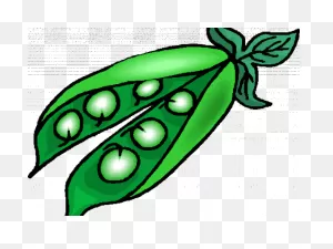 Pea Clipart Pea Plant - Clip Art Of Peas - Png Download - Full ClipartFlare.com 