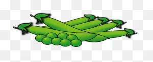 Peas And Pea Pods Clipart. Free Download Transparent .png | ClipartFlare