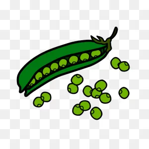 Peas | Free PNG-WebP