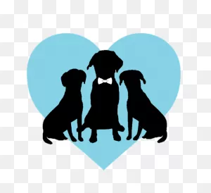 Fairytail Pet Care - Wedding Day Pet Care