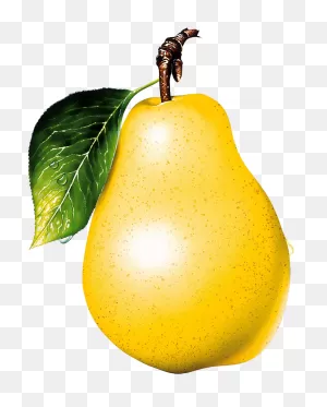 Pear Clipart Transparent - Pear Transparent Background - (906X1000 ClipartFlare.com 