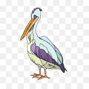 Colorful Pelican Png, PNG-WebP Clip Art For Web - Download Clip Art ClipartFlare.com 