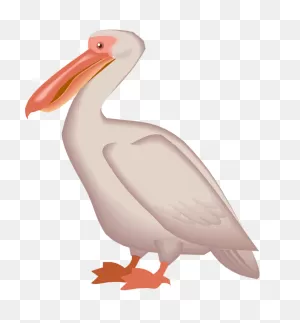 Free Pelican Clipart