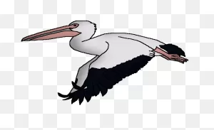 Great White Pelican | Wildlife Animal Pedia Wiki | ClipartFlare