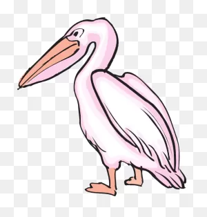 Pelican Clipart - Png Download - Full Size Clipart (#421185 ClipartFlare.com 