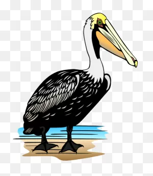 Pelican Clip Art At ClipartFlare ClipartFlare.com - Vector Clip Art Online, Royalty ClipartFlare.com 