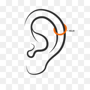 Ear Piercings - Piercing Mania