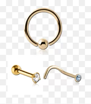 Pierced Impressions Piercing And Tattoo Supplies - Gold Body ClipartFlare.com 