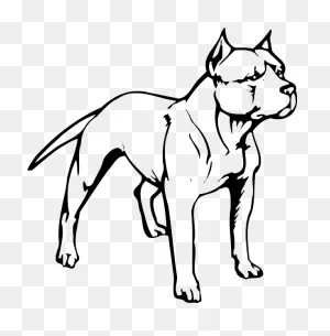 American Pit Bull Terrier Puppy American Bully - Pit Bull Head ClipartFlare.com 