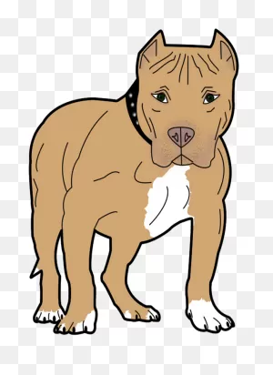 Pitbull Clipart. Free Download Transparent .png | ClipartFlare