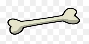 Bone-157272_960_720 - Simply Dipti
