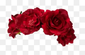 Download Transparent Flower Crown Red - Red Flower Crown Png ClipartFlare.com 