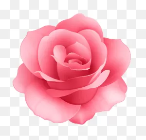 Rose Flower Clip Art Image - Pink Rose Flower Clip Art - Png ClipartFlare.com 