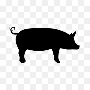 Pig Silhouette | Free PNG-WebP