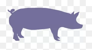 Pig Face Silhouette - Cute Pig Silhouette Png Clipart - Full Size ClipartFlare.com 