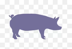 Show Pig Silhouette | Pig Silhouette, Pig, Silhouette