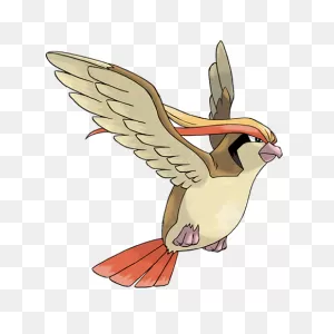 Pidgeot | Pokédex