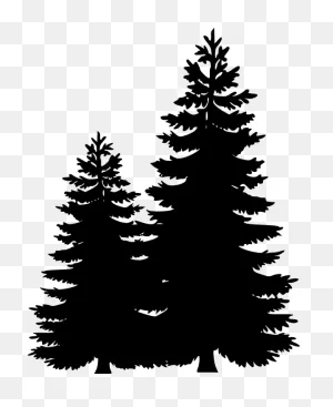 Clip Art Portable Network Graphics Pine Tree Image - Png Download ClipartFlare.com 