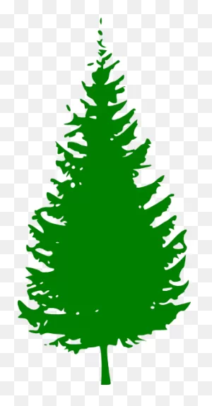 Green Pine Clip Art At ClipartFlare ClipartFlare.com - Vector Clip Art Online, Royalty ClipartFlare.com 