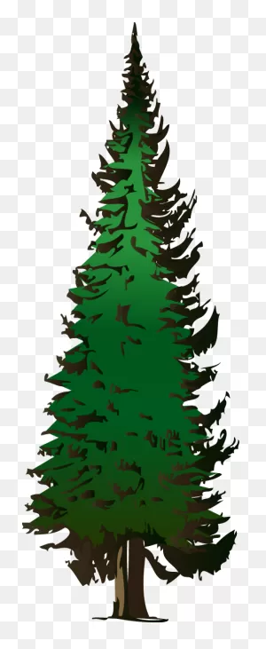 Pine Tree Clipart Free Images 2 - ClipartFlare ClipartFlare.com