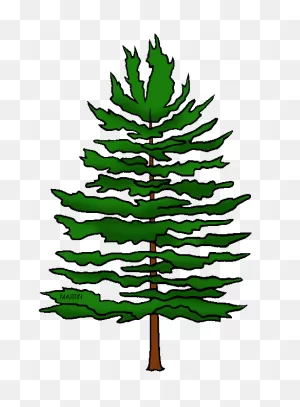 Pine Tree Clipart ClipartFlare - ClipartFlare ClipartFlare.com