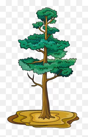 Pine Tree Clipart. Free Download Transparent .png | ClipartFlare
