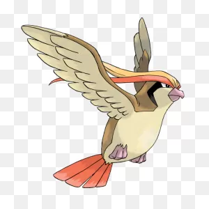 Pidgey, Pidgeotto, Pidgeot – Dextraneous