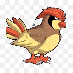 Smosh Pokemon Pidgey - Pokemon Bird With Hair Transparent Png ClipartFlare.com 