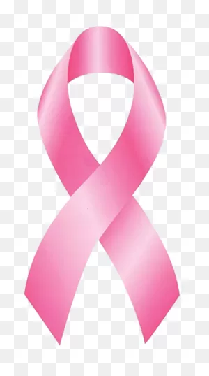 Pink Ribbon Socks Collection – Paul Bryan Usa