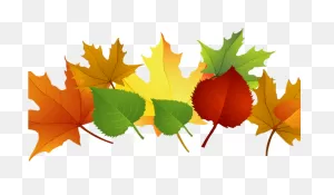 Download Hd Fall Leaves Pile Clip Art Transparent Png Image ClipartFlare.com 